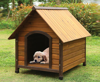 Click here for Pet Accessories